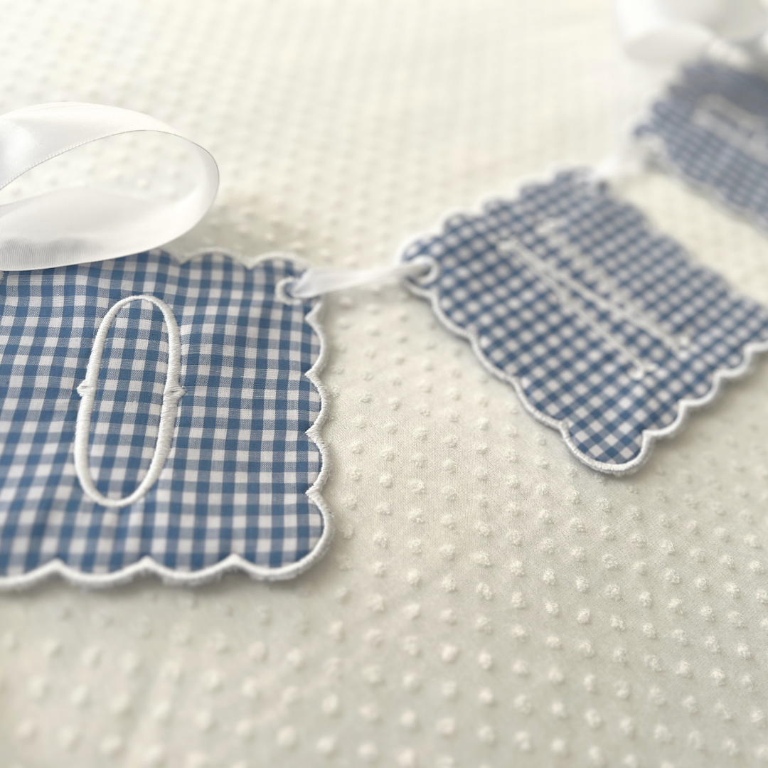 Blue Gingham "ONE" Banner